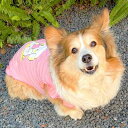 犬 服 女の子 かわいい コーギー ペット フリル 夏 薄手 スカート 抜け毛 日焼け防止 ビションフリーゼ 柔らかい 英字 大きいサイズ クリームイエロー ピンク 小型 中型