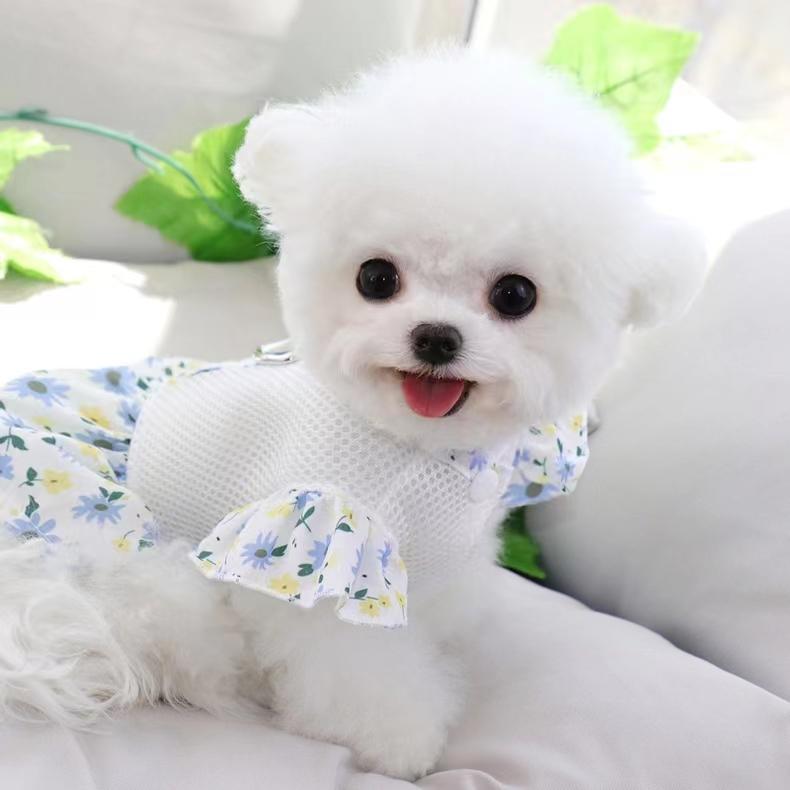 犬 服 女の子 かわいい 小型 柔らかい 通気性 メッシュ 花柄 ペット トイプードル ポメラニアン ビショ..