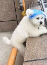 犬 日除け 帽子猫 ペット用品 夏 バケットハット 耳だし 脱げにくい 紐 日焼け防止 通気性 薄手 散歩 アウトドア かわいい 青