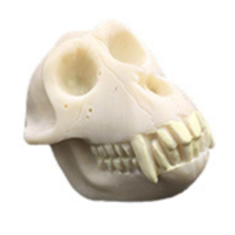 アクアリウム オブジェ 樹脂 水槽 内装 造園 インテリア デコレーション 装飾 オーナメント 置物 隠れ家 熱帯魚 金魚 メダカ 爬虫類 飼育 個性的 動物頭蓋骨