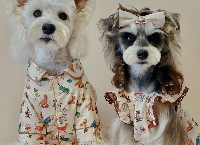 犬 服 女の子 かわいい 小型 中型 大型 シュナウザー トイプードル 猫 春夏 シャツ ワンピース 通気性 ..