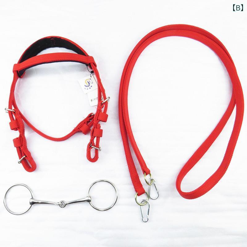 �� �꡼�� �ȥ졼�˥� �϶� ��� ����ȥ����� ���� ������ �٥�� �Хå��� �� ����ץ� �礭�������� �եå� ��� �� �� ��