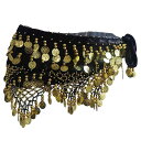 ヒップスカーフ 腰 レディース おしゃれ ベリーダンス 初心者 インド舞 輝き 伝統 手作り コイン 装飾