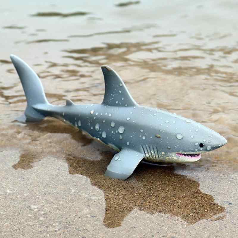 海洋生物 フィギュア ホホジロザメ メガロドン イッカク おもちゃ 子供 男の子 女の子 プラスチック ハード ミニチュア コレクション 装飾 知育玩具 リアル かっこいい プレゼント 誕生日