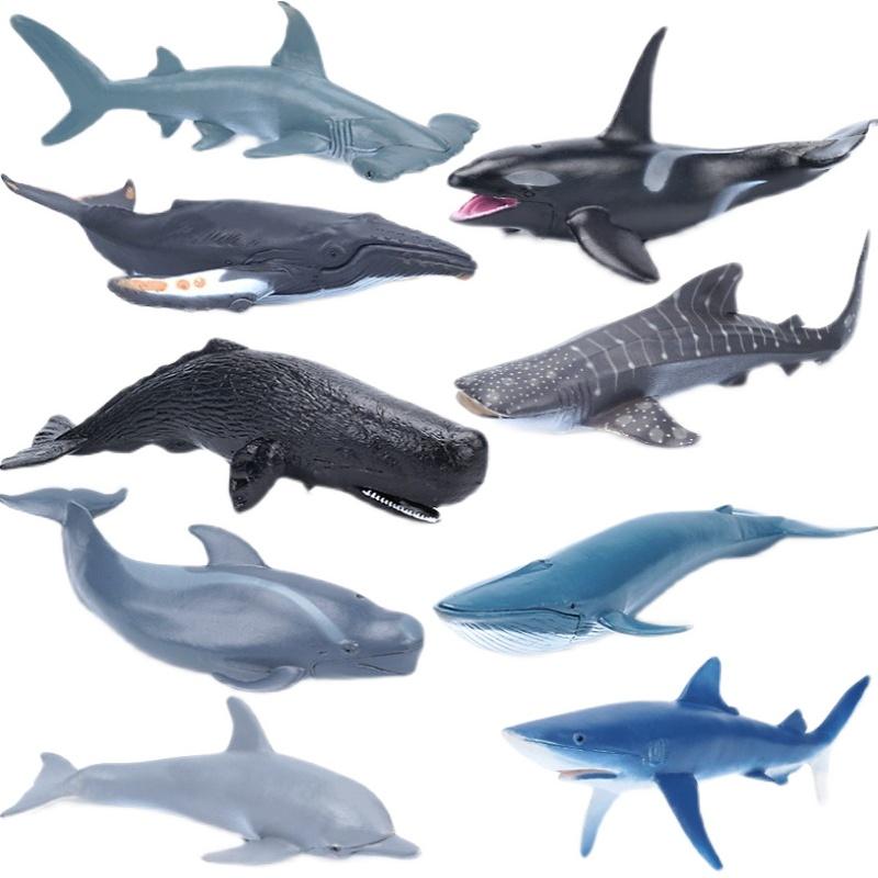 海洋生物 フィギュア セット ホホジロザメ シャチ イルカ おもちゃ 子供 男の子 女の子 プラスチック ミニチュア コレクション 装飾 知育玩具 リアル かっこいい プレゼント 誕生日
