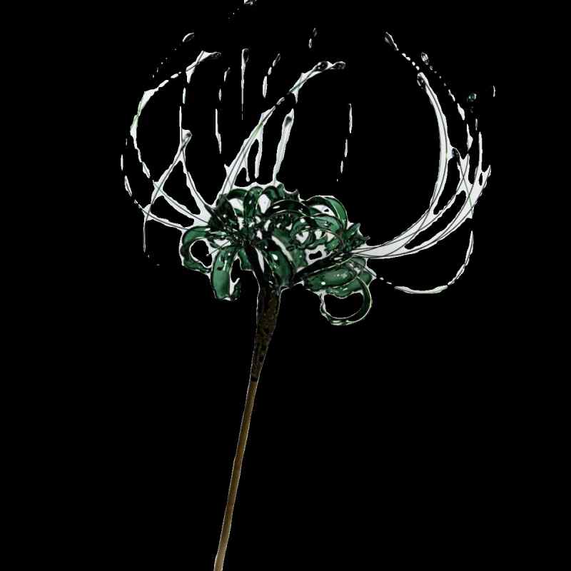 ���󤶤� ������� �� ��ǥ����� �� ��߲� ��ȥ� ���� ȱ���� �إ����������꡼ �ץ쥼���