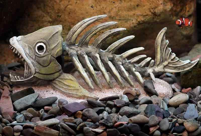 アクアリウム 隠れ家 水槽 装飾 おしゃれ ドラゴン 恐竜 骨 頭蓋 魚 穴 樹脂 ガーデン 水草 造園 シンプル ダーク 警告 プレート 白 黄色 大きめ