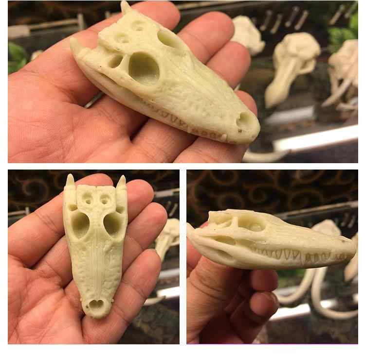 アクアリウム オブジェ 水槽 樹脂 オーナメント 置物 ミニチュア 装飾 レイアウト デコレーション 熱帯魚 亀 爬虫類 ペット 飼育 個性的 かっこいい 白 カーキ アイボリー 骸骨