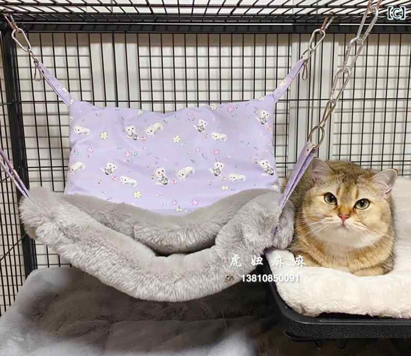 �ڥå� �ϥ��å� �� �ɴ� �ݲ� �դ�դ� �ߤ겼�� �ϥ󥮥� �٥å� ���� ����� ������ �ե���å� ǭ ����å� �ϥॹ���� ��ưʪ ����ץ� ������� �� �� ��