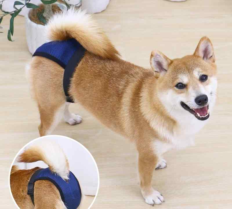 犬 生理パンツ カバー 通気性 柔らかい サニタリー ペット 女の子 メス 柴 小型 中型 サニタリー おむ..