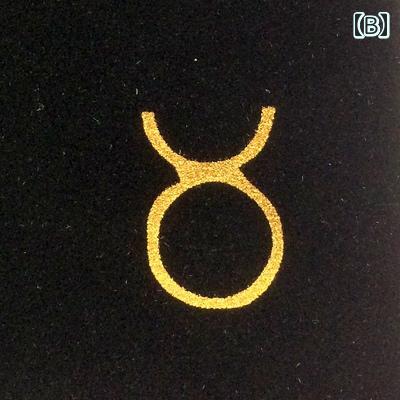 タロットカード入れ ケース ベロア 12星座 オラクル 巾着 ポーチ 小物 収納袋 シン...