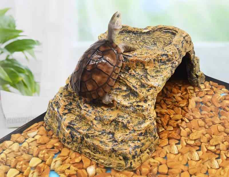 亀 陸地 レイアウト 水槽 飼育 アクアリウム 日光浴 隠れ家 シェルター スロープ 登り台 石 岩場 観賞 設置 簡単 リアル シンプル