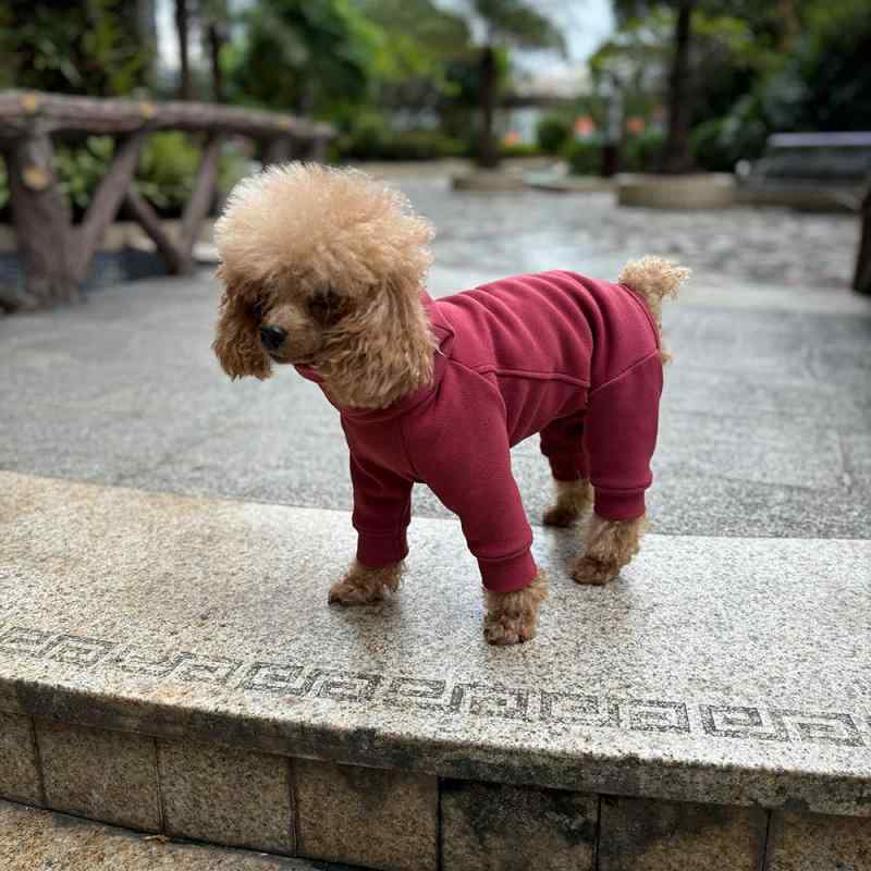 犬服 小型犬 秋冬 お正月 ドッグウェア 四つ足 ハイネック あったか 保温 フリース 腹巻き付き レッド ..