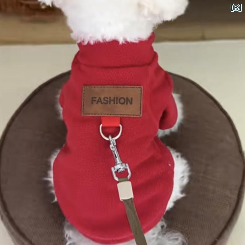 ���� �������� ���� �ե꡼�� �꡼�ɥ���դ� ���襤�� �Ȥ��� �ɴ� �⤳�⤳ ������ �ƥǥ� �ӥ���� �ݥ��˥��� ���� ���Ф��� �֥롼���꡼�� �磻���å�