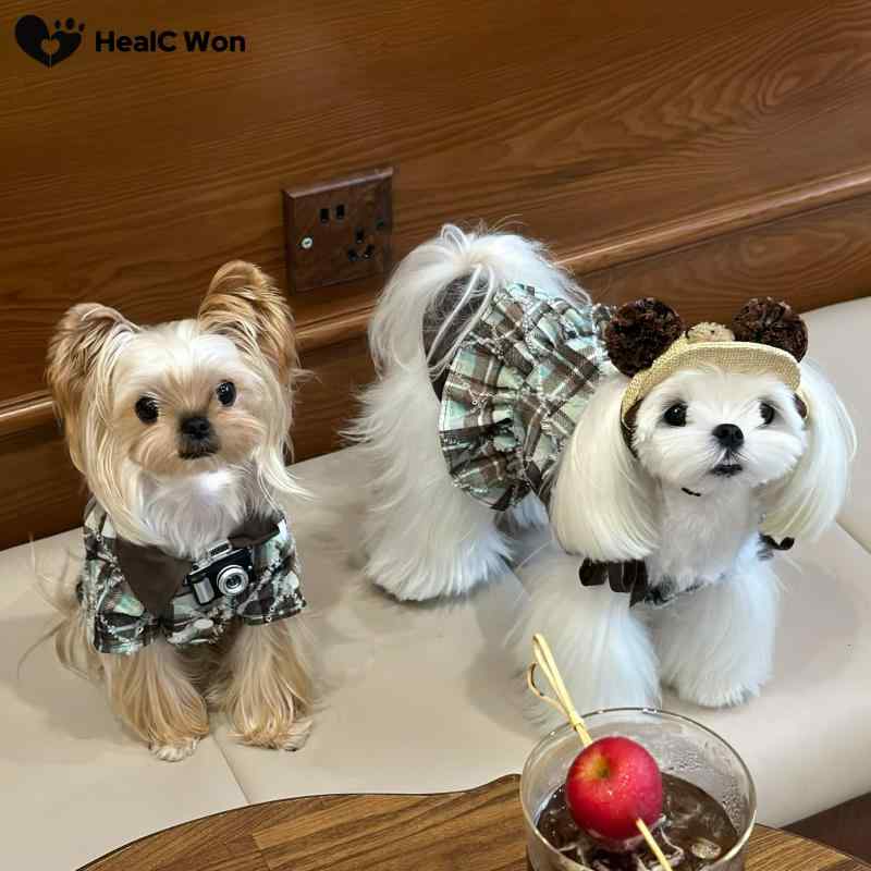 ペットウェア プリンセス ミントグリーン ミントチョコレートチェック柄 襟付きシャツ リボン キャミソ..