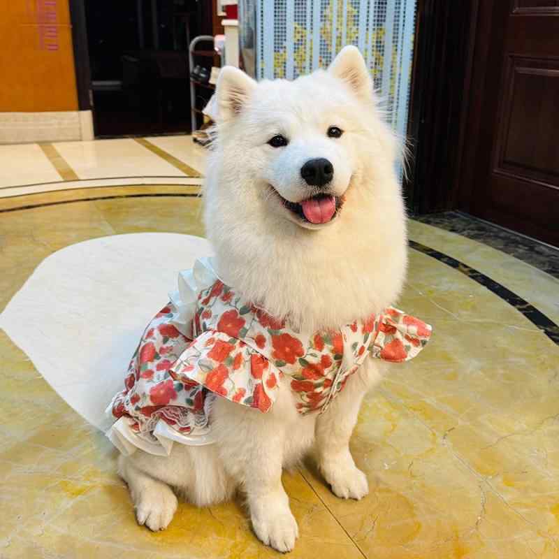 犬服 ドッグウェア 中大型犬用 春夏 薄手 ポリエステル 軽量 涼しい 抜け毛防止 ローズ バラ柄 プリンセス ドレス ワンピース かわいい おしゃれ お散歩 お出かけ 普段使い