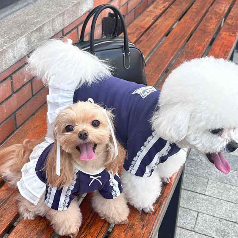 ドッグウェア 小型犬 マルチーズ ビションフリーゼ スウェット トレーナー ワンピース ドレス バレエ風..