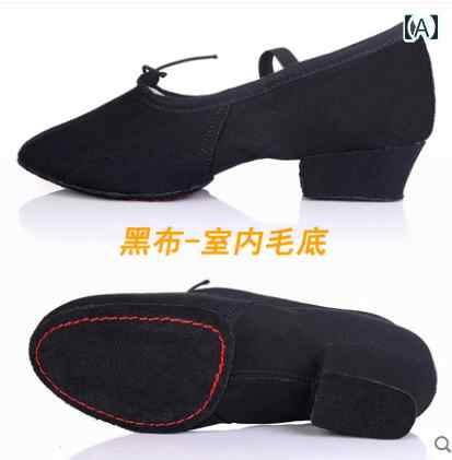 ダンスシューズ レディース 女性用 練習靴 稽古靴 大人用 教師用 講師用 ソフトソール ミドルヒール バ..