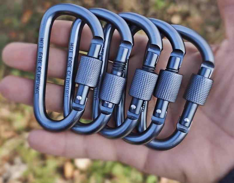 ӥ  ǥ ߥ˥ D 緿 ȥɥ л  Хåѥå å å ɻ å꡼ ۥ ...