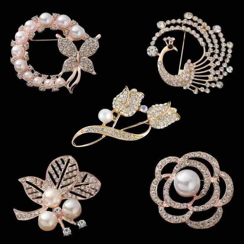 �u���[�` ���f�B�[�X �W���R�j�A �p�[�� �X�[�c �W���P�b�g �I�o�h�~ ��i �G���K���g ���g�� �A���e�B�[�N ���\ ������ �� ���� ���`�[�t �t�H�[�}�� �J�W���A�� ���i�g�� �A�N�Z�T���[ �s��