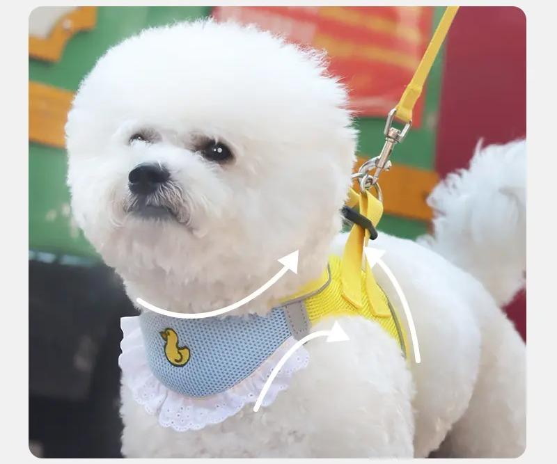 犬 ハーネス リード かわいい ペット 散歩 レジャー 猫 ビションフリーゼ 小型 胸当て よだれかけ スタ..