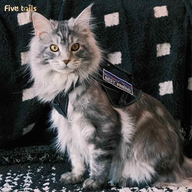 猫 ハーネス リード ベスト型 抜け出し防止 調節 散歩 メインクーン 軽量 負担軽減 ソフト 牽引 ロープ カーキ ピンク 黒 セット おしゃれ シンプル 大きいサイズ