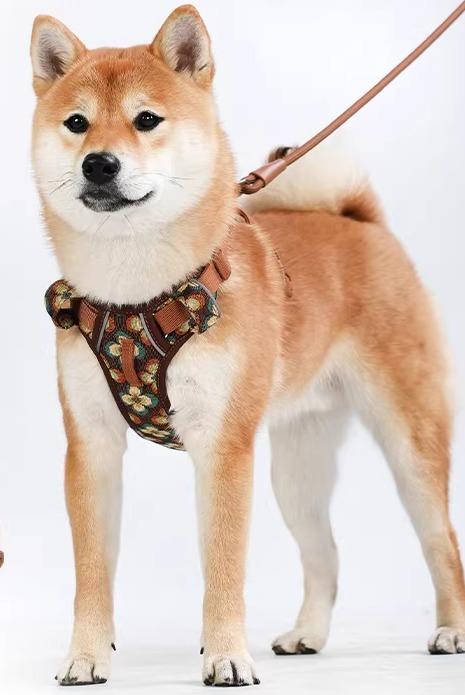 犬 ハーネス リード かわいい ペット 散歩 レジャー 中型 小型 柴 コーギー ビションフリーゼ セット ..
