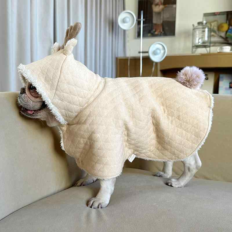 ��ǭ�� �� �ݥ���� ������ �ޥ�� �ɴ� �ݲ� �֥�󥱥å� ���� ���� �ե����֥�ɥå� �ѥ� �ӥ����ե꡼�� �ȥ��ס��ɥ� �������� ������ �淿�� ...