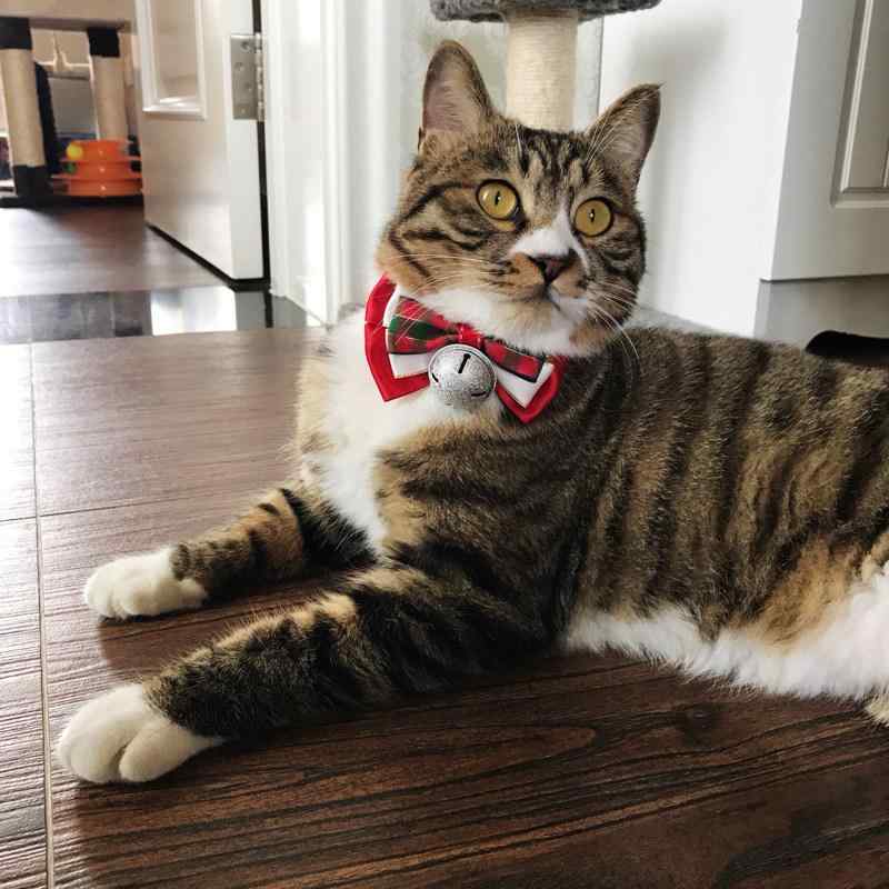 Rakuten - ペット用品 犬 猫 首輪 カラー 鈴 チャーム 蝶ネクタイ サイズ調整可能 お正月 クリスマス 飾り アクセサリー 小型犬 中型犬 大型犬 かわいい おしゃれ ゴールド レッド グリーン