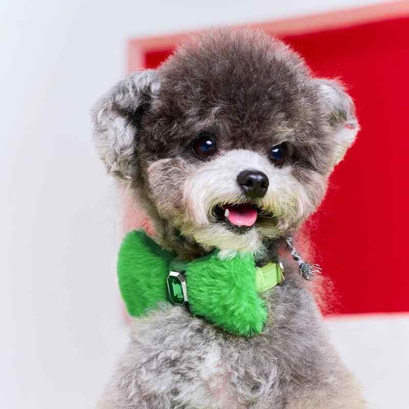 ペット用品 犬 猫 小型犬 中型犬 大型犬 首輪 カラー リード 引き紐 蝶ネクタイ リボン フェイクファー ラインストーン チャーム ペンダント アクセサリー ピンク ブルー グレー おしゃれ かわいい お散歩 お出かけ 普段使い