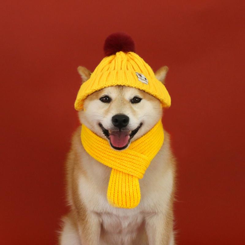 ペット用帽子 猫 犬 秋冬 防寒 保温 耳出し ニット帽 ニットキャップ マフラー ネックウォーマー セット クリスマス 新年 毛糸 ヘッドウェア かぶり物 お散歩 お出かけ プレゼント かわいい 赤 黄 灰