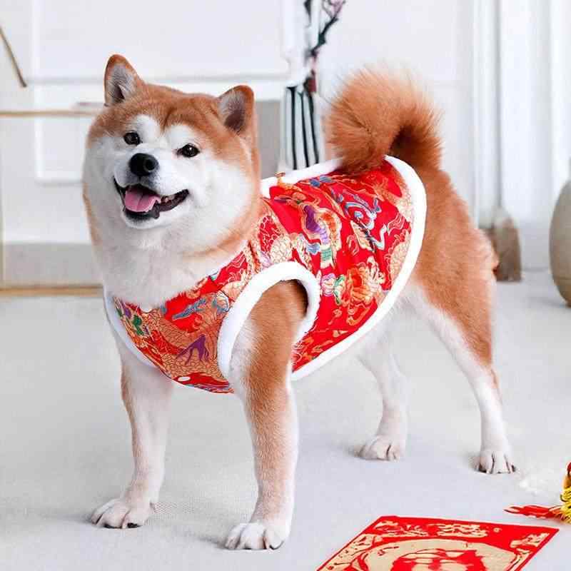 ペット服 犬 猫 柴犬 トイプードル ビションフリーゼ 冬 防寒 保温 あったか チャイナ服 唐装 中華風 お正月 年賀 綿入れ 赤 レッド