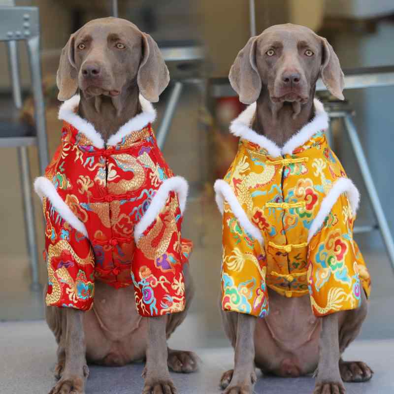 ���� �緿���� ���㥤�ˡ����������� ���� ζ�� ����� ���� ���� �ɴ� �ݲ� ������ ������ ��ǯ �ˤ��� ������ �ﵯʪ ���åȥ� �� ��