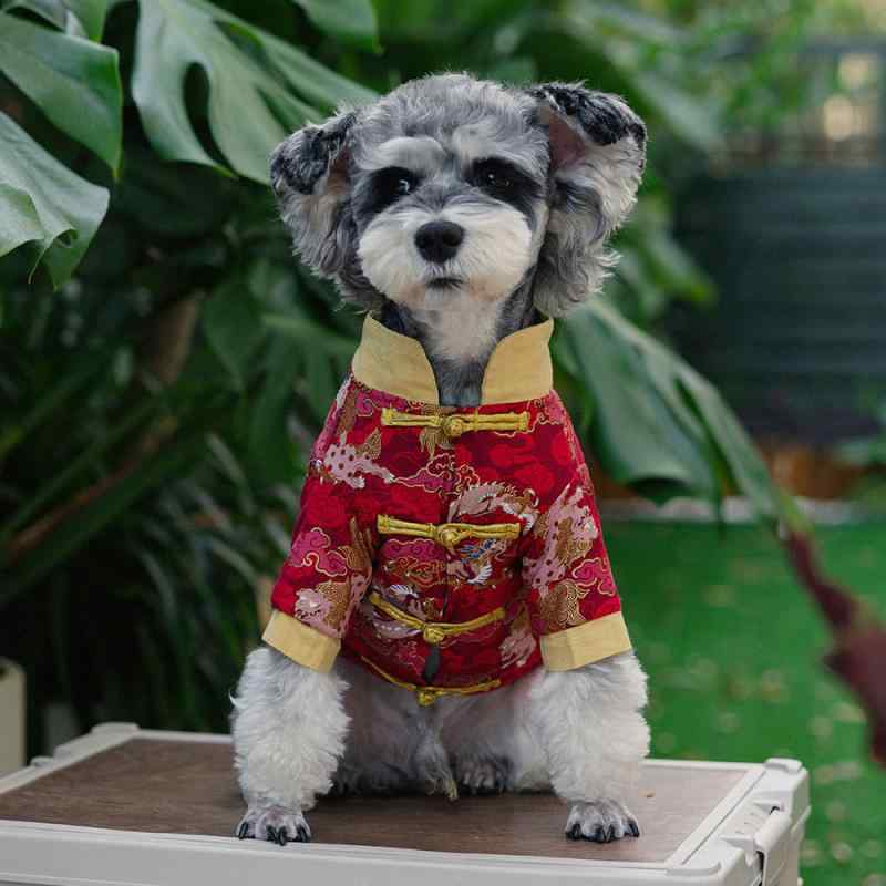 犬服 猫服 小型犬 子猫 唐装 チャイナ服 秋冬 厚手 保温 暖かい 防寒着 お正月 年賀状 お祝い イベント 散歩着 コットン カジュアル