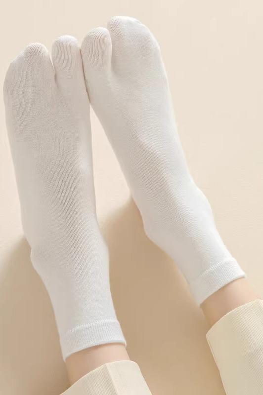 ���� ­�� ��ǥ����� ���ѥ졼�� �ղ� ���� �ܿ��䴶 �� �۴� �ɽ� ���硼�Ⱦ� 5­�� ����ץ� ���å� �� ���졼 �����ܥ꡼ ������ �����奢��