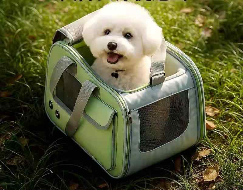 Knapsack Carrier - ペットキャリーバッグ 小型犬 猫 軽量 大容量 通気性 お出かけ 散歩 通院 旅行 ワンショルダー 手提げ 多機能 緑 黄色 おしゃれ 折りたたみ メッシュ ポケット