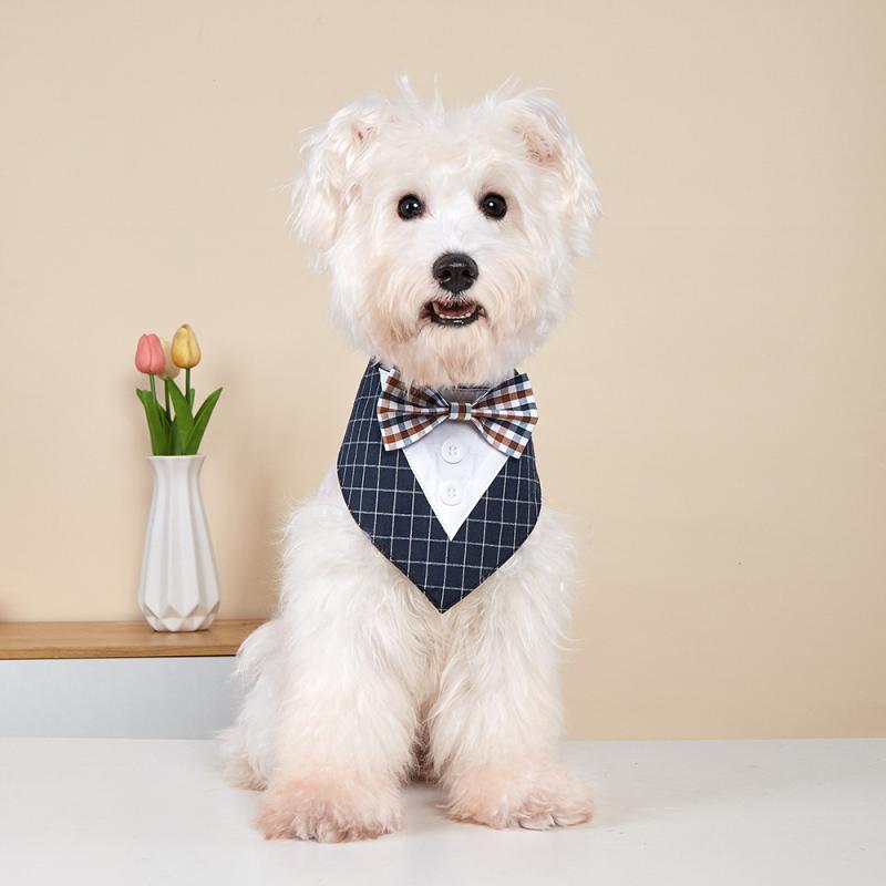 �ڥå� ���Ѷ� �ˤλ� ���λ� �Х���� ĳ�ͥ����� ��ܥ� �����å��� �����ꥹ�� �������� �ե����ޥ� �뺧�� ���ˤ� �ѡ��ƥ��� ����줫�� �̥ե����ʡ�...