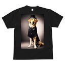 ゴールデンレトリバー Tシャツ 速乾 吸汗 半袖 犬柄 スポーツ 釣り 多種類 コスプレ犬 執事 スーツ いぬ 春夏 ラウンドネック トップス メンズ ユニセックス レディース オーバーサイズ オシャレ かっこいい カジュアル 可愛い アニマル 動物 プリント