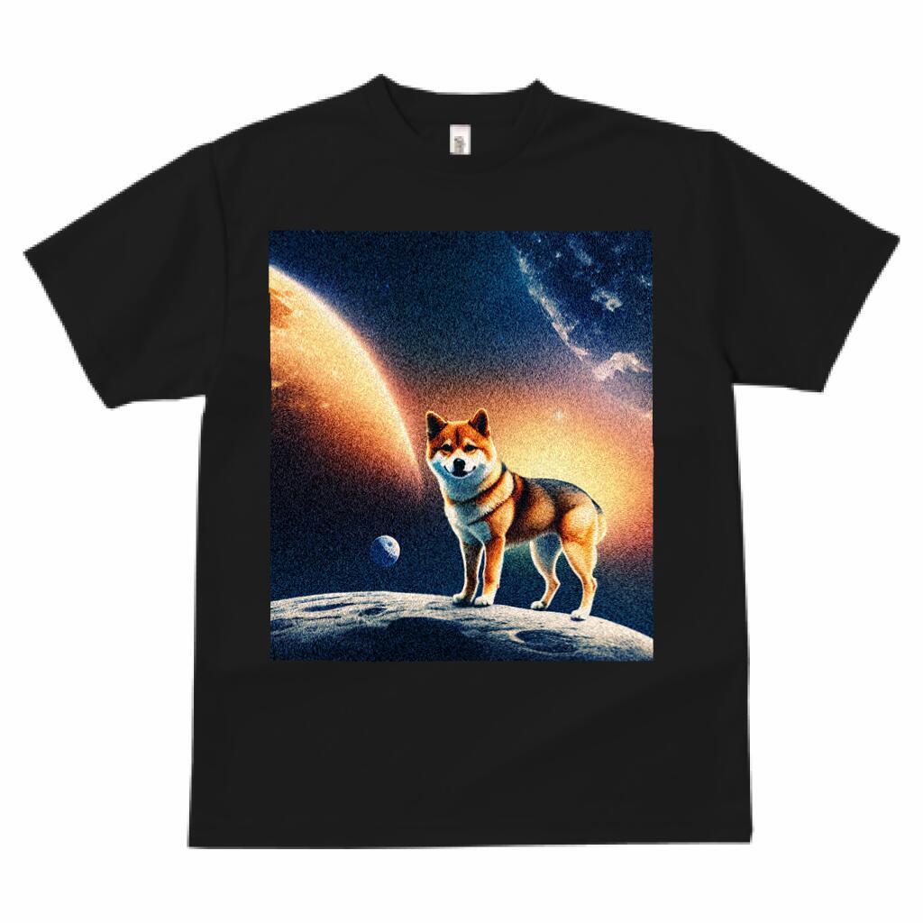 柴犬 宇宙 プリント Tシャツ 速乾 吸汗 半袖 犬柄 いぬ柄 スポーツ 釣り 多種類 いぬ 春夏 ラウンドネック トップス メンズ ユニセックス レディース オシャレ かっこいい カジュアル 可愛い アニマル 動物のサムネイル