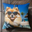 サングラス ポメラニアン ビーチ ジャケット ヤシの木 青い空 クッションカバー 犬柄 45×45cm アニマル柄 おしゃれ 可愛い クッション本体付き 正方形