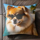 サングラス ポメラニアン ビーチ 太陽 Tシャツ メンズ クッションカバー 犬柄 45×45cm アニマル柄 おしゃれ 可愛い クッション本体付き 正方形