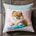 ベッド ポメラニアン ピンクの枕 青いおもちゃ Tシャツ メンズ クッションカバー 犬柄 45×45cm アニマル柄 おしゃれ 可愛い クッション本体付き 正方...