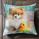 アヒルのおもちゃ ポメラニアン ベッド 枕 Tシャツ メンズ クッションカバー 犬柄 45×45cm アニマル柄 おしゃれ 可愛い クッション本体付き 正方形