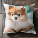 ベッド ポメラニアン 玩具 クッション Tシャツ メンズ クッションカバー 犬柄 45×45cm アニマル柄 おしゃれ 可愛い クッション本体付き 正方形