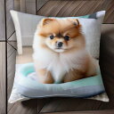 犬用ベッド ポメラニアン ふわふわラグ 室内 Tシャツ メンズ クッションカバー 犬柄 45×45cm アニマル柄 おしゃれ 可愛い クッション本体付き 正方形