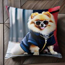 サングラス ポメラニアン パーカー 赤い背景 笑顔 屋外 クッションカバー 犬柄 45×45cm アニマル柄 おしゃれ 可愛い クッション本体付き 正方形