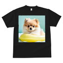 黄色の浮き輪 ポメラニアン かわいい フワフワ 水色の背景 Tシャツ メンズ キッズ 犬ファン 半袖 春夏 プリント カジュアル 人間用