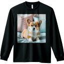 犬 ウェルシュコーギー かわいい ペット ソファ クッション 長袖Tシャツ 人間用 メンズ 秋春夏 プリント レジャー アウトドア カジュアル