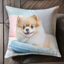 クッション ポメラニアン ベッド ピンク色 Tシャツ メンズ クッションカバー 犬柄 45×45cm アニマル柄 おしゃれ 可愛い クッション本体付き 正方形