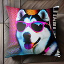 サングラス シベリアンハスキー ポップアート カラフル レインボー アーバン クッションカバー 45×45cm アニマル柄 おしゃれ 可愛い クッション本体付き 正方形
